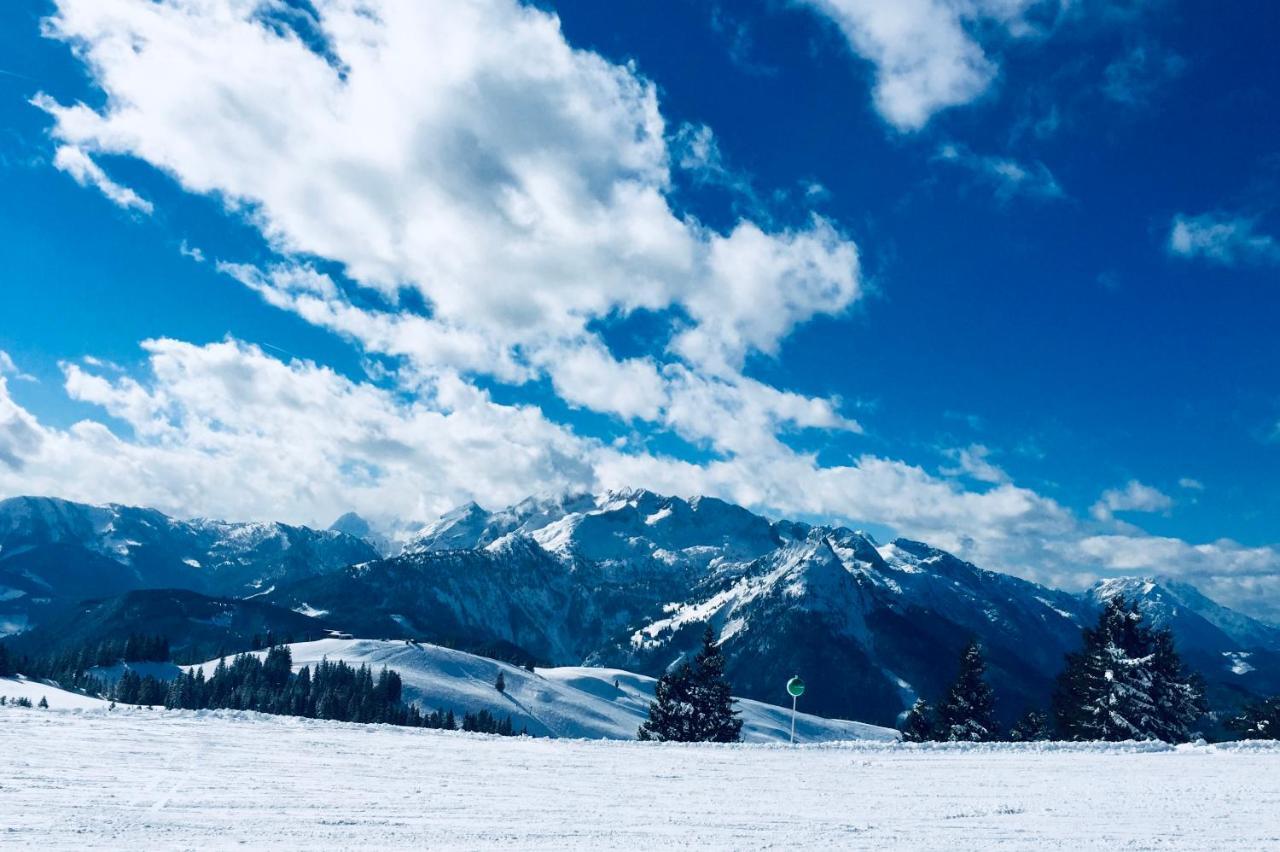 Gosau Apartment 209 エクステリア 写真